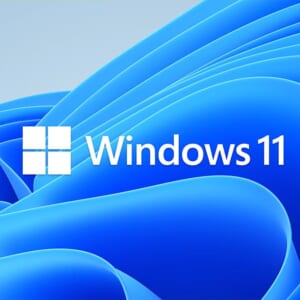 【企業担当者必見】Windows11を導入する際に注意すべき5つのポイントを解説！